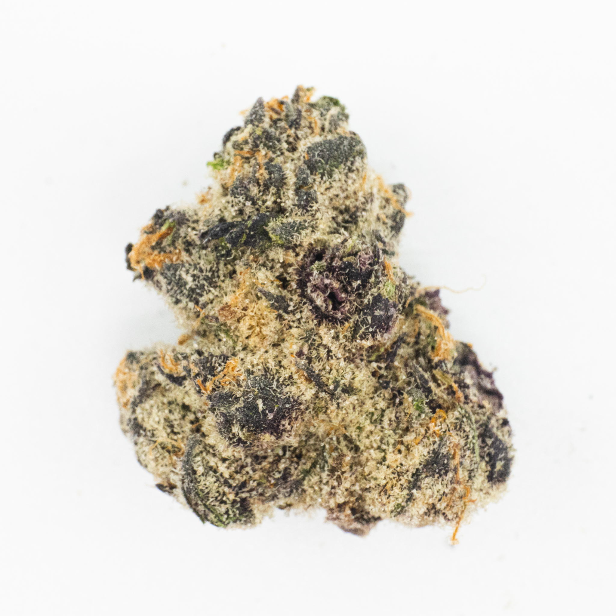 Photo for Super Boof