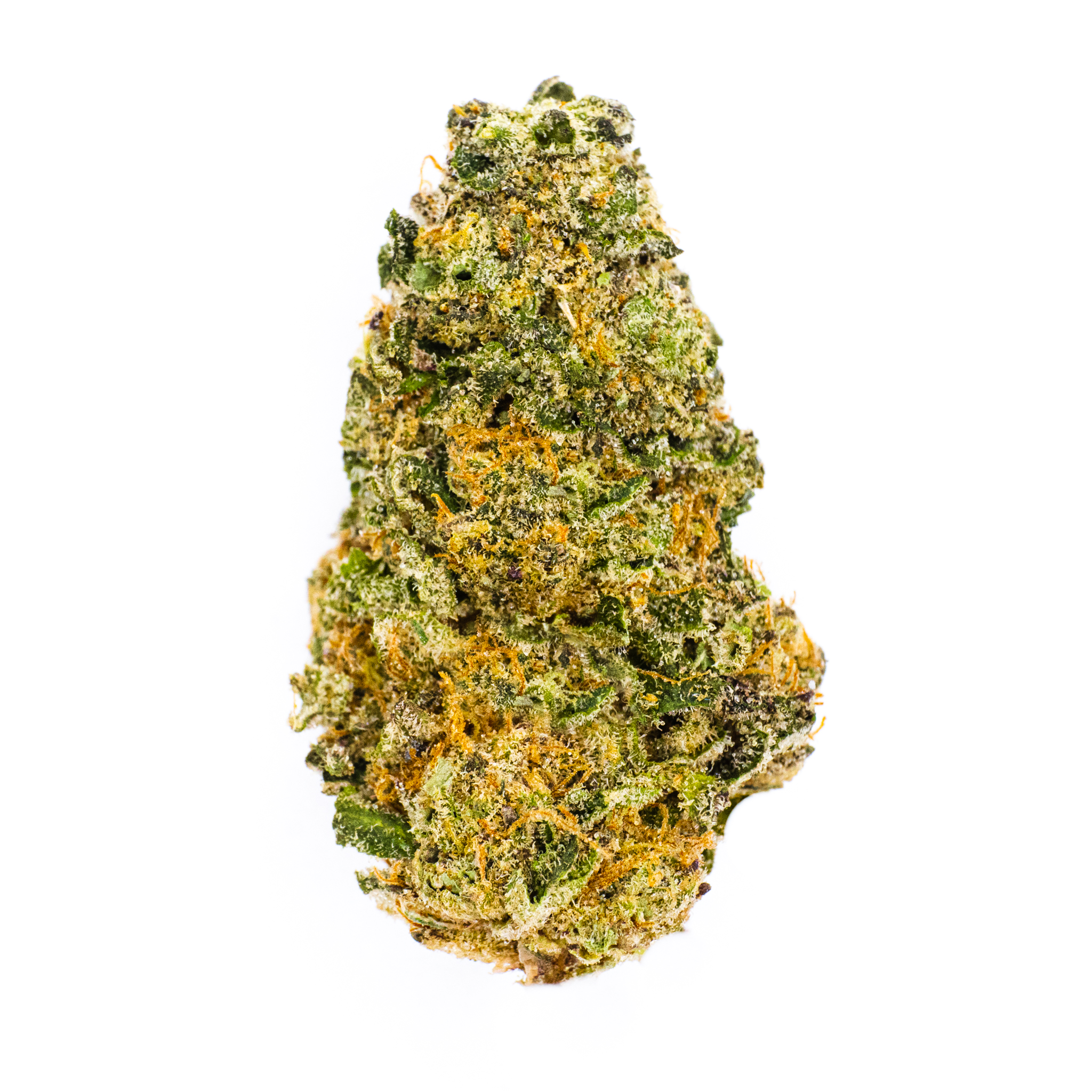 Photo for Lemon Mintz