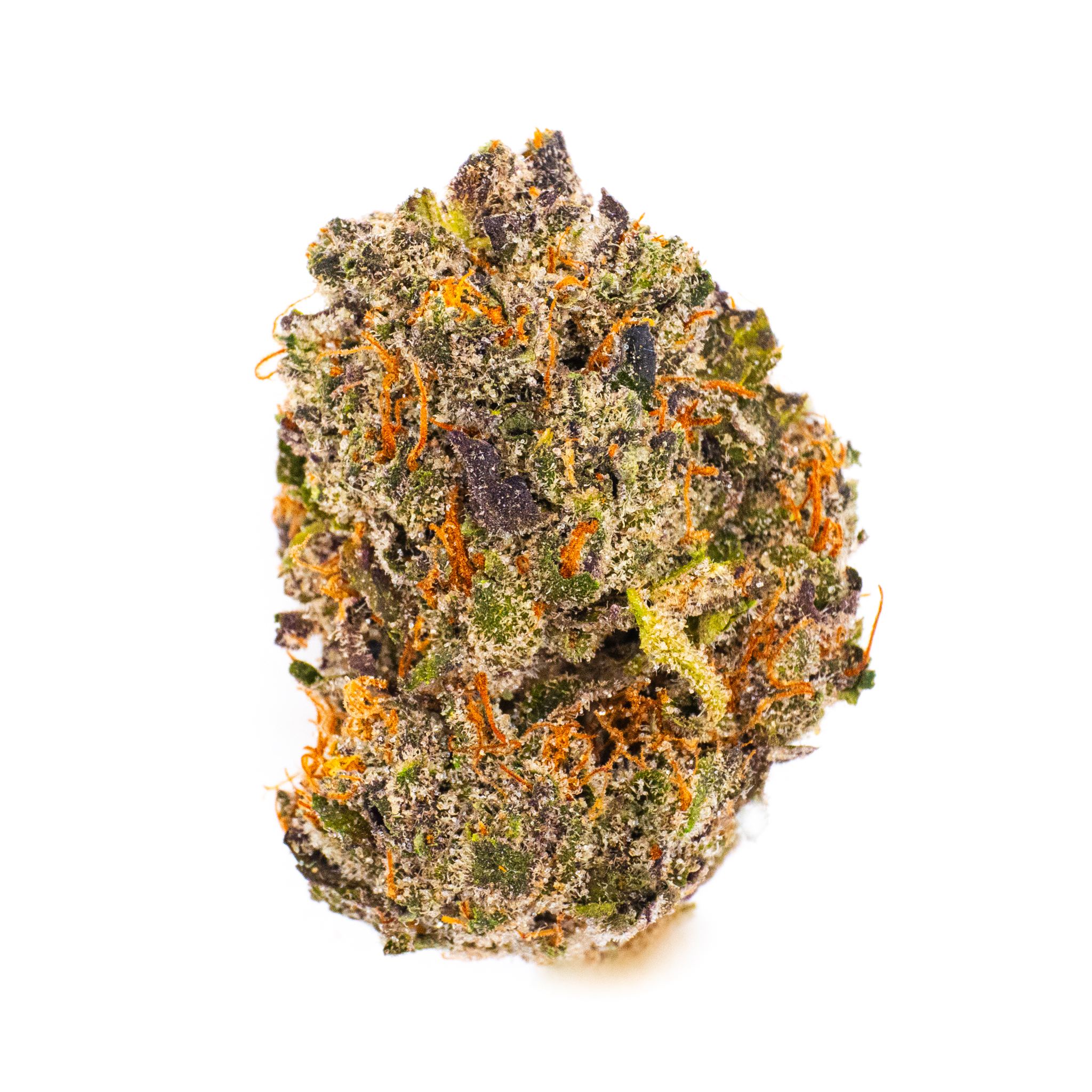 Photo for Heady Tropper