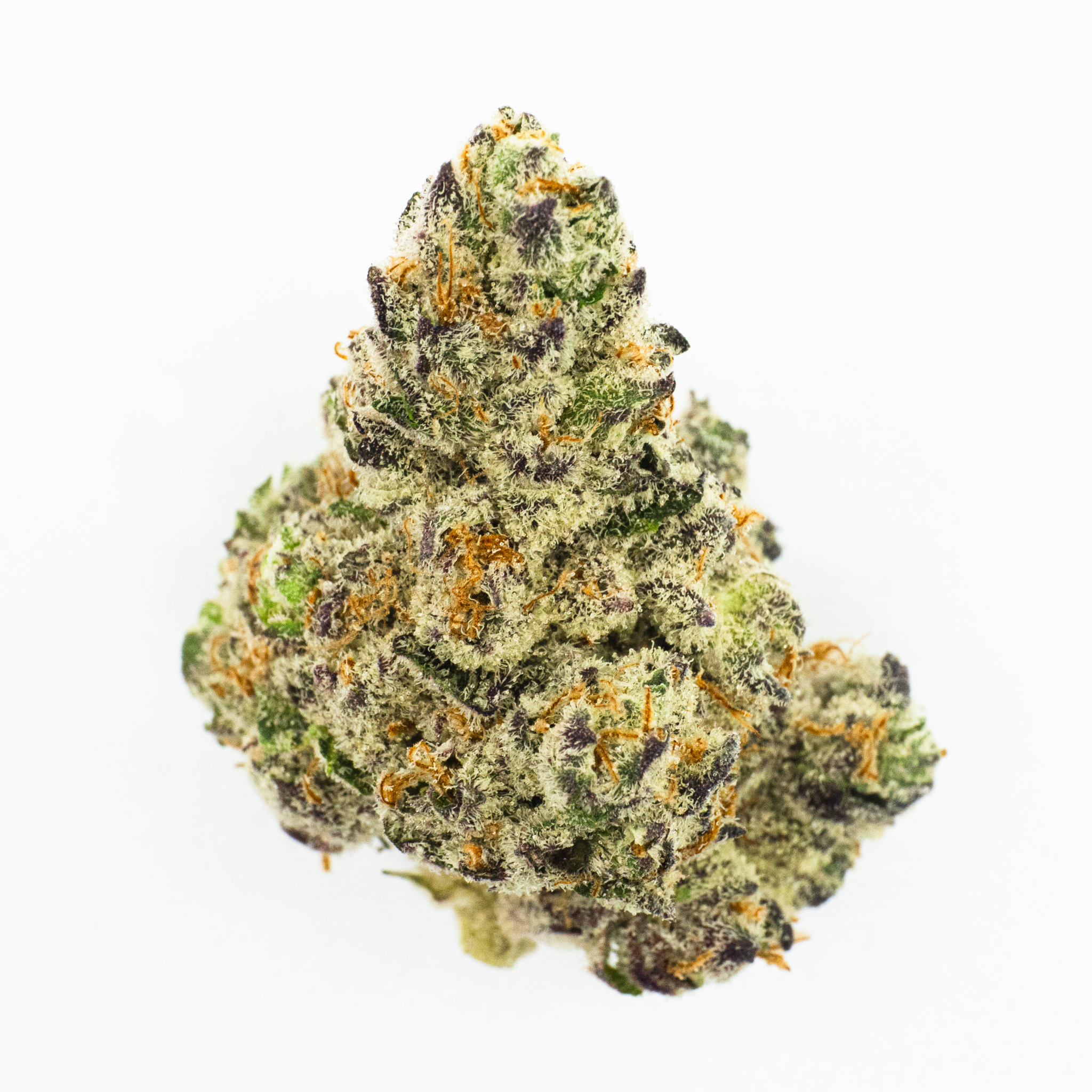 Photo for Dante's Inferno