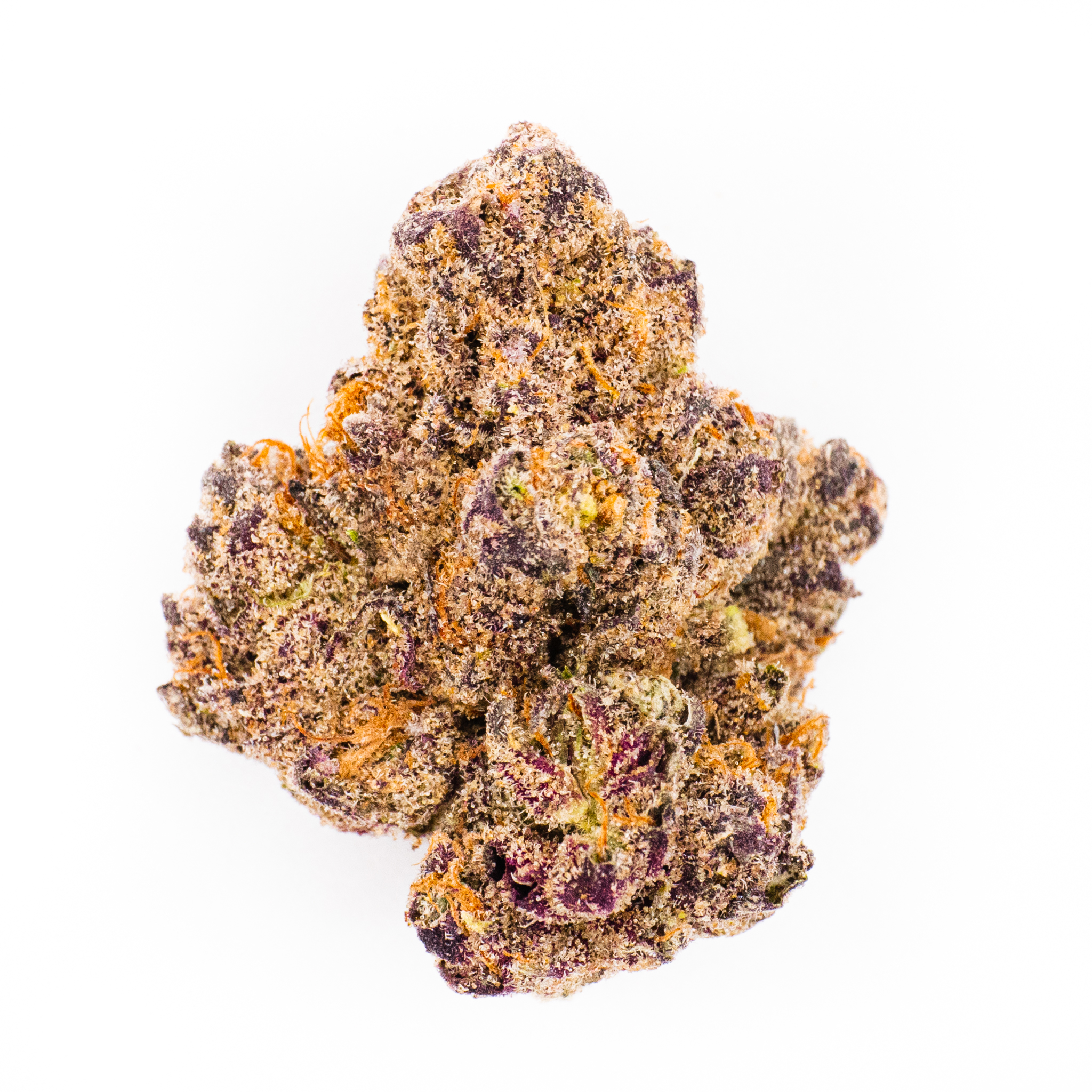 Photo for Deluxe Slurbert