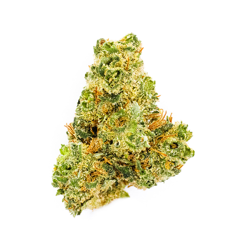 Photo for Dutch Treat