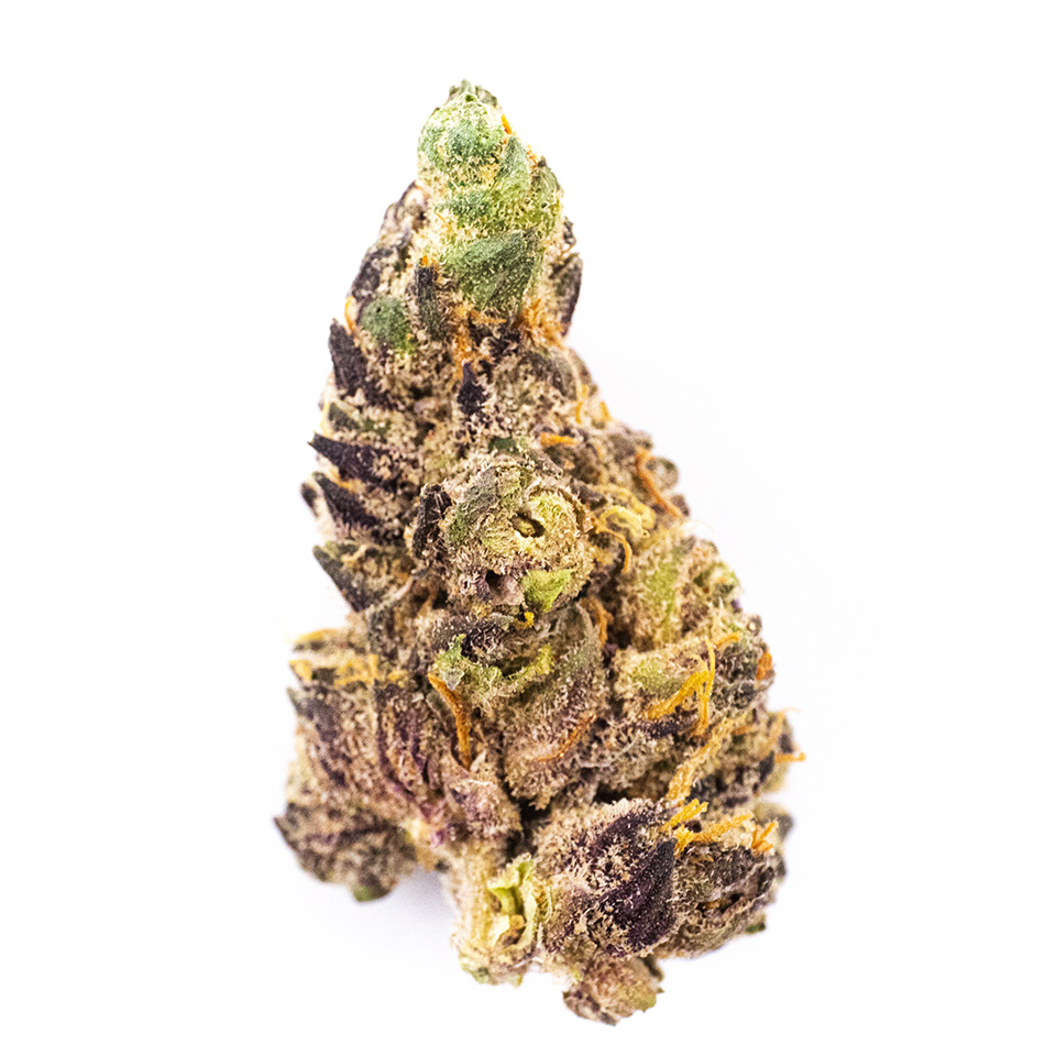 Photo for Forbidden Runtz