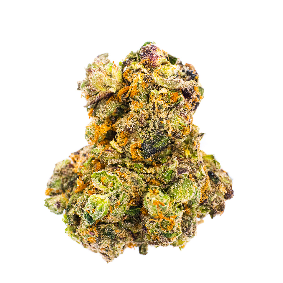 Photo for GMO x Rootbeer