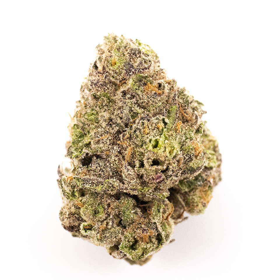 Photo for Gush Mints