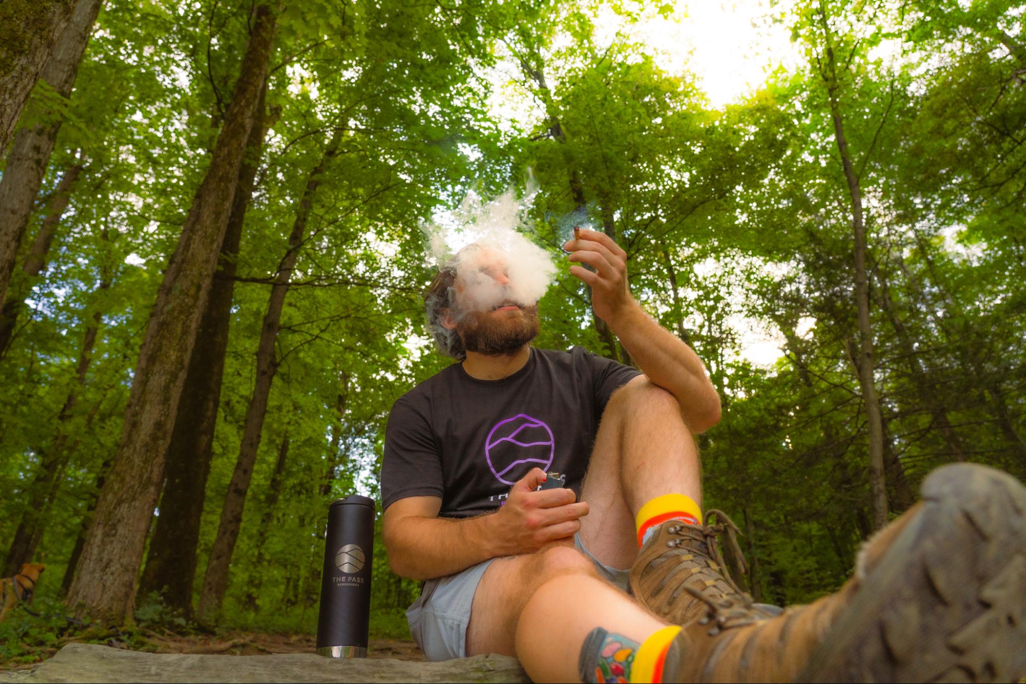 Infused beverages and cannabis flower at The Pass Berkshires