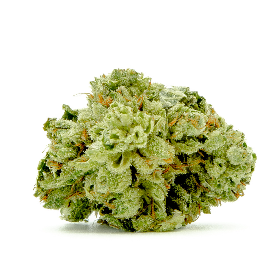 Photo for Lucky Charms