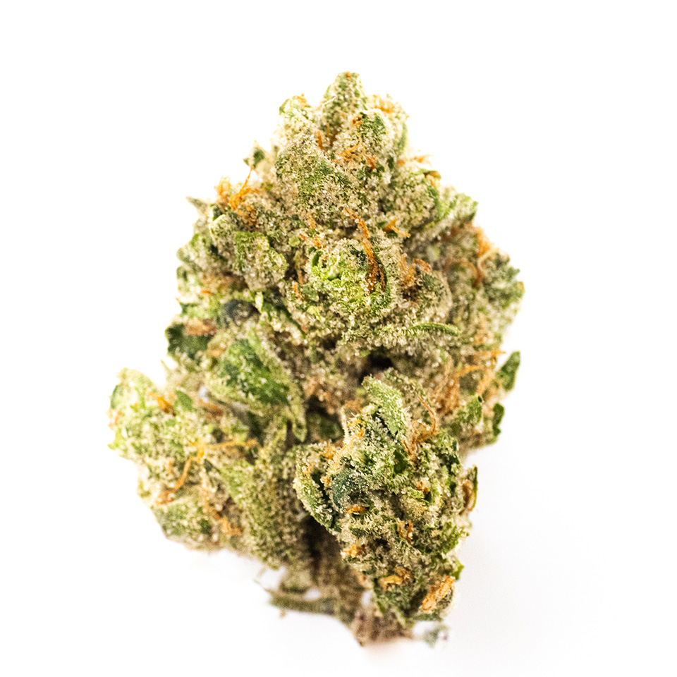 Photo for Purple Wookie