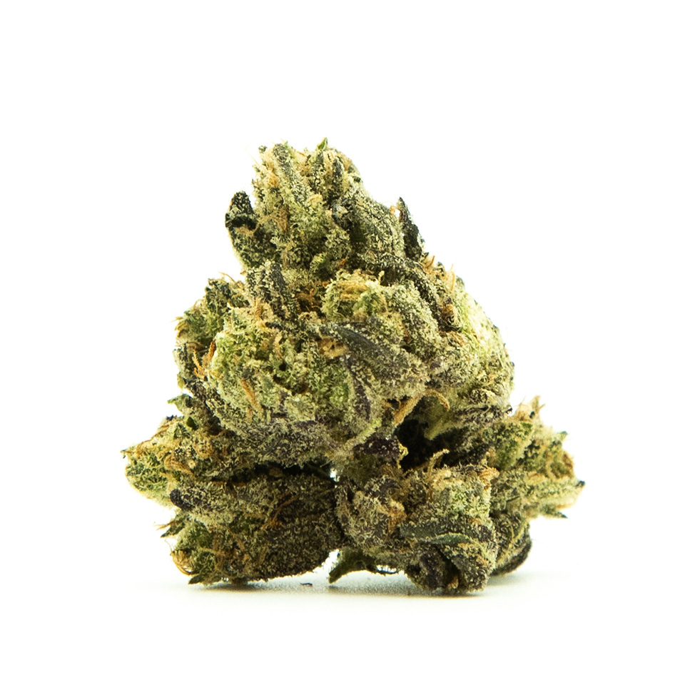 Photo for Sloppy Box