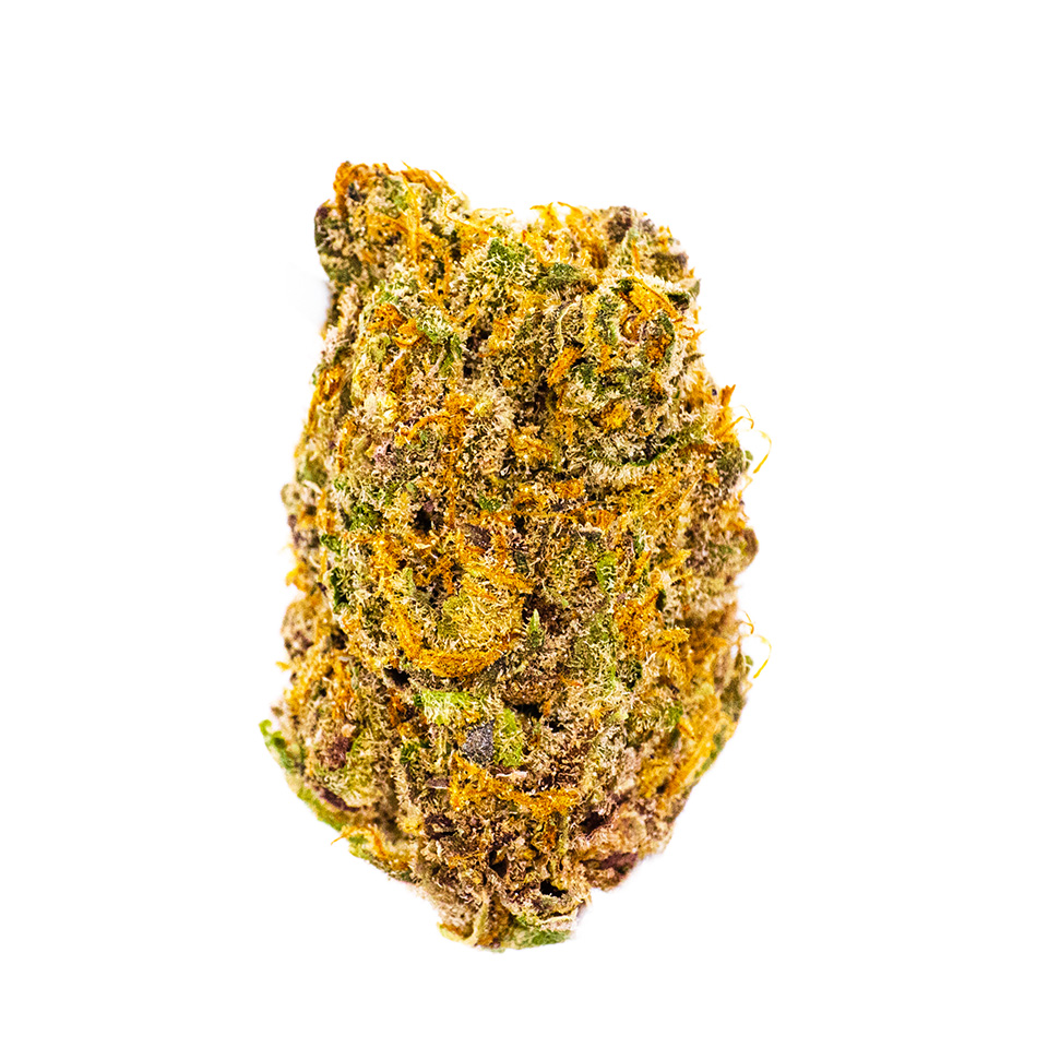 Photo for Tropical Flame