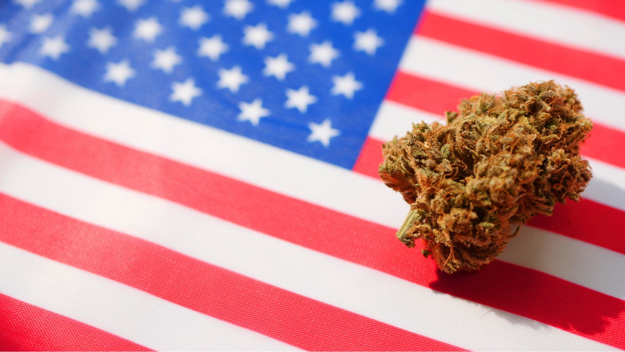 U.S. Presidents who smoked cannabis 